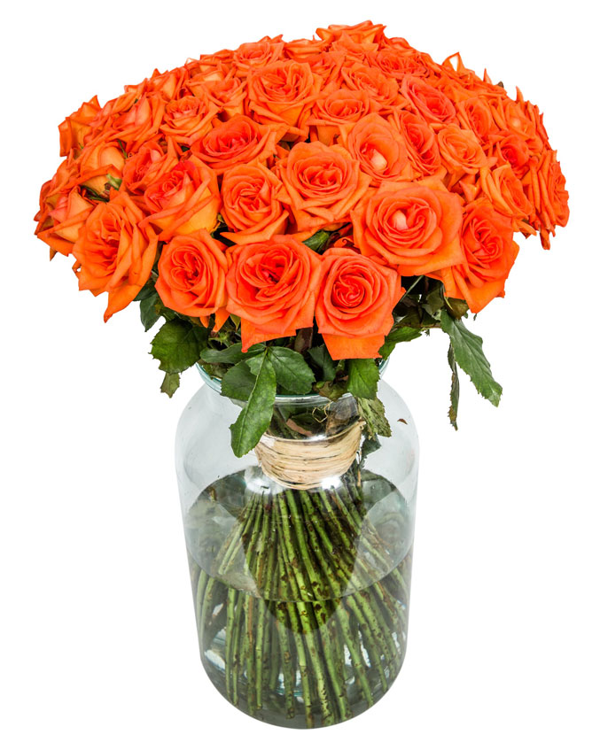 60 Long Stemmed Orange Roses 60 Orange Roses, Fresh Orange Roses
