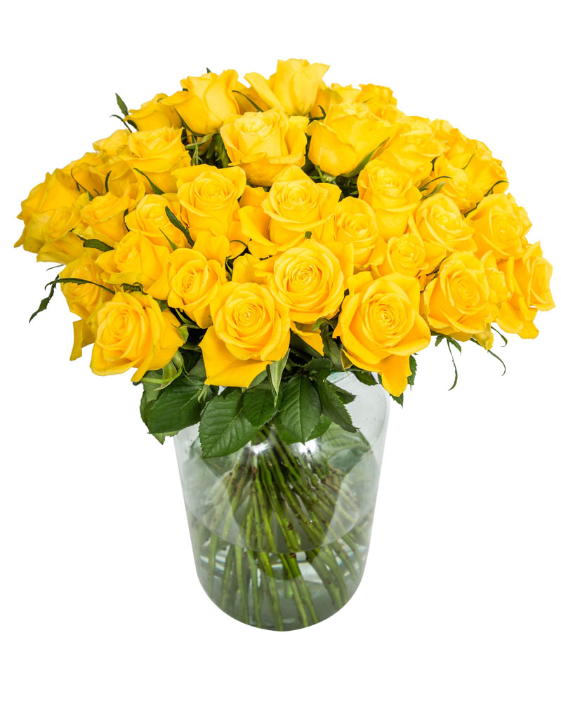 60 Long Stemmed Yellow Roses Fresh Yellow Roses, 60 Yellow Roses