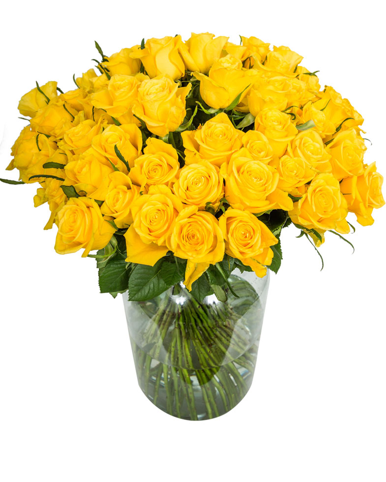 75 Long Stemmed Yellow Roses Fresh Yellow Roses, 75 Yellow Roses
