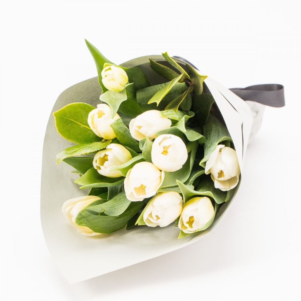 White Tulips Flowers For All