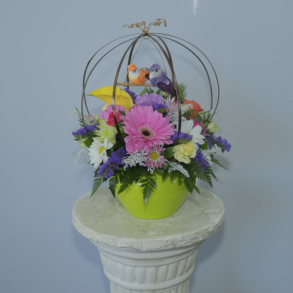 Everyday Flowers Flowers on 50th