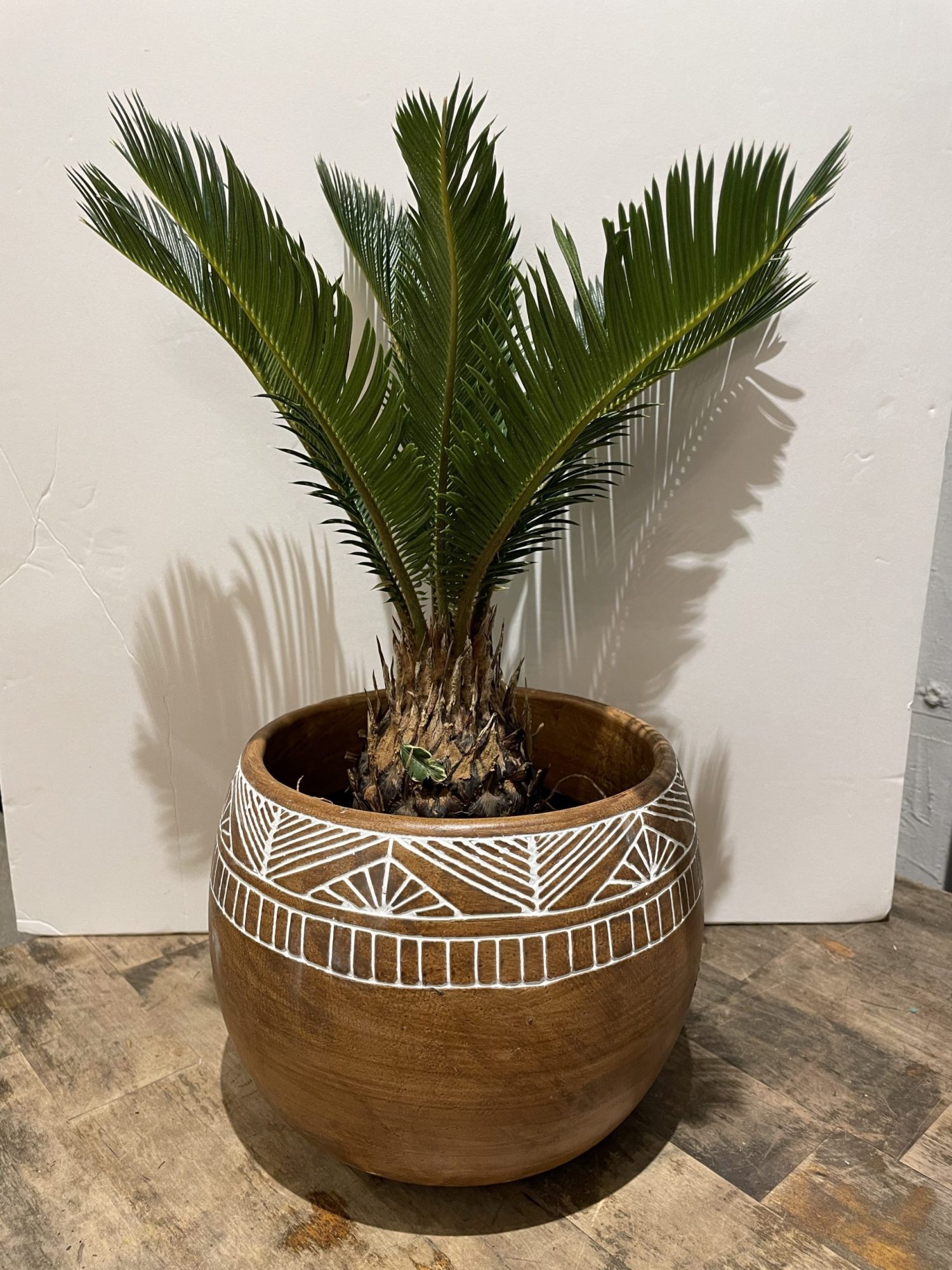 6" Palm Tree in Statement Pot Flowers Talk Tivoli