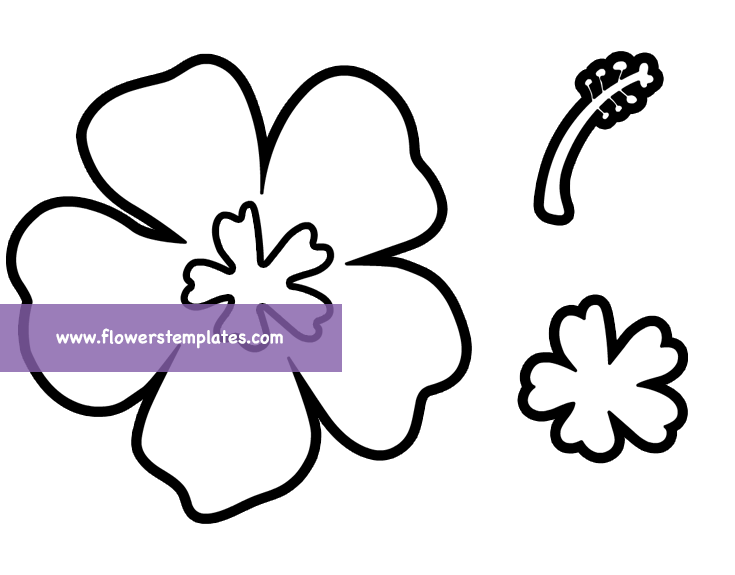 Hibiscus craft template printable - Flowers Templates