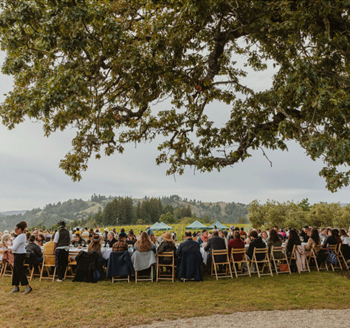  Flowers Vineyards & Winery