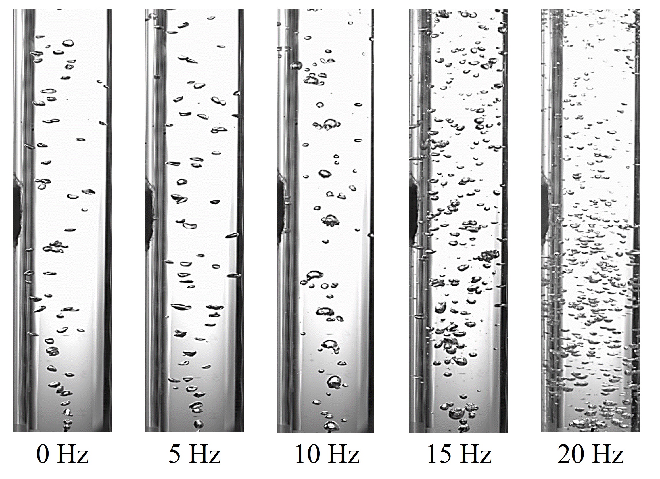 Vibrating Bubble Column Experimental Flow Physics Lab