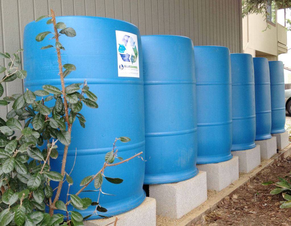 Rain Barrels & Rebate Program Flows to Bay