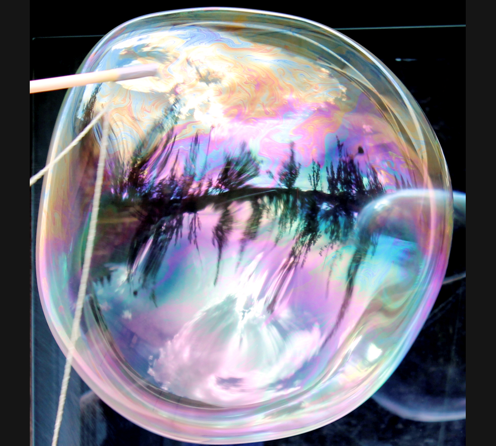 The front surface of a bubble reflects surroundings, while the back