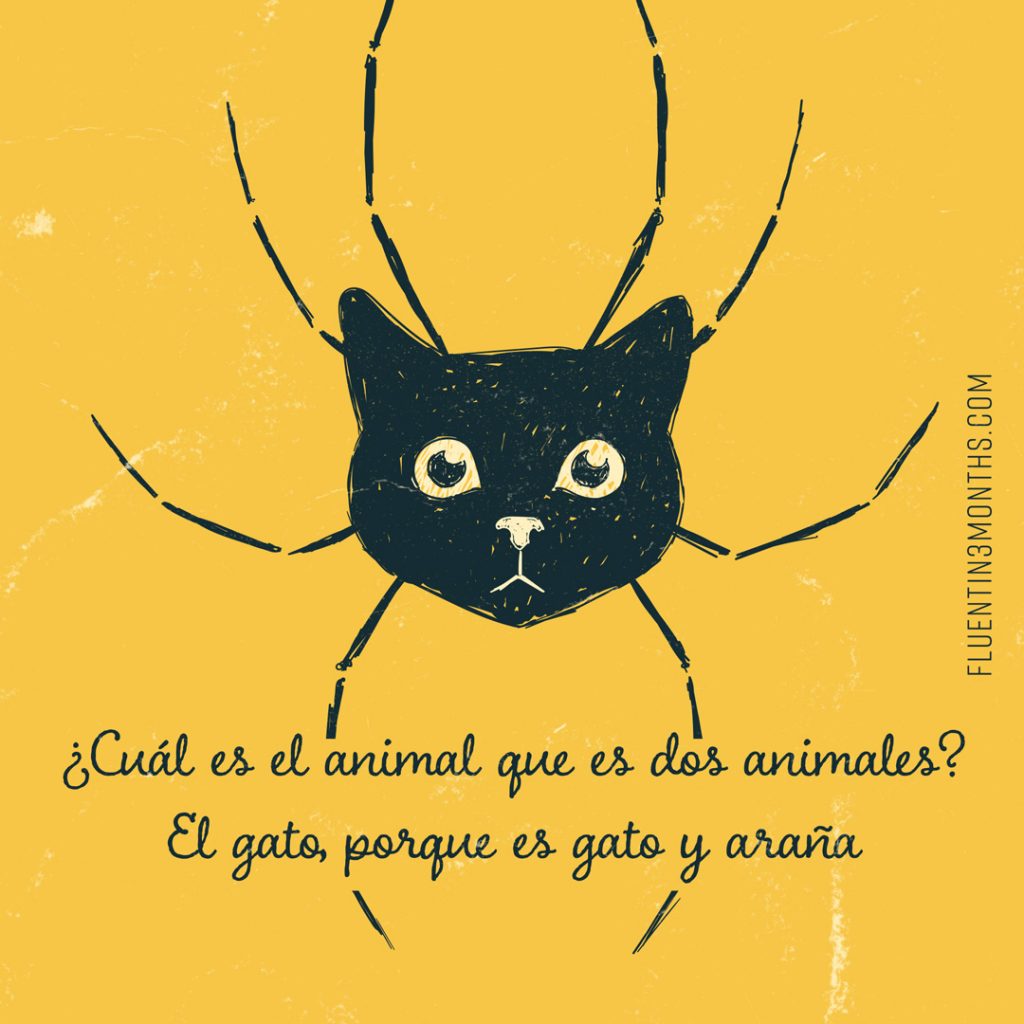 15 Hilarious Spanish Puns That Are So Bad They’re Amazing