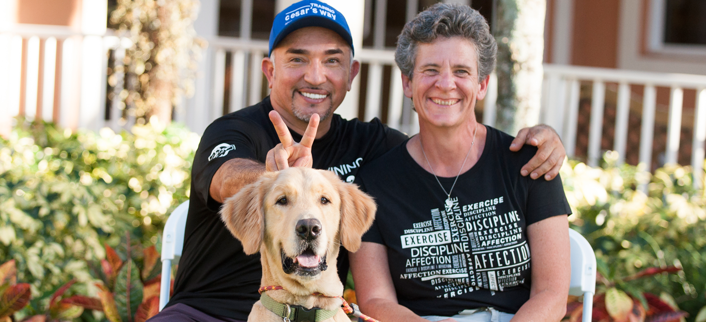 Fundamental Dog Training Fluff Your Pup