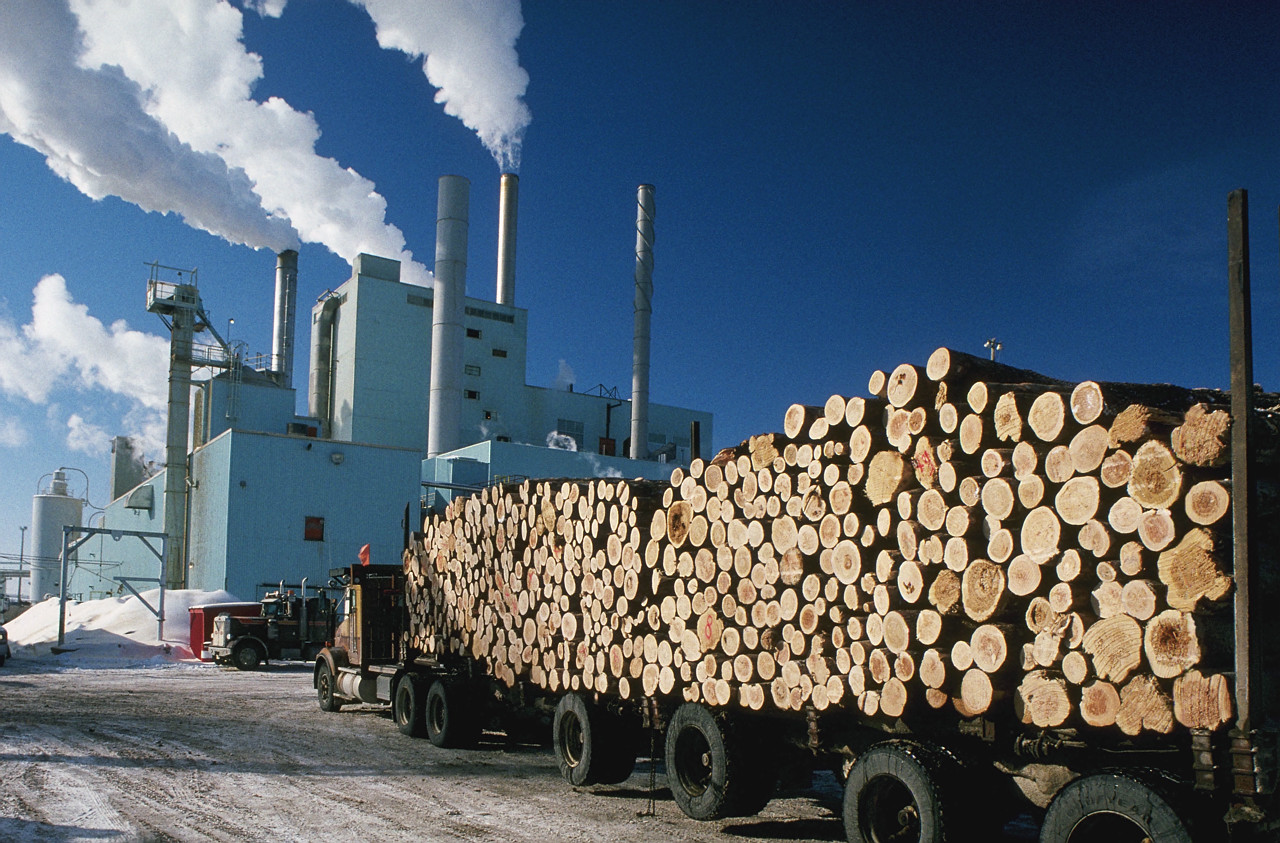 Pulp & Paper Fluid Clarification