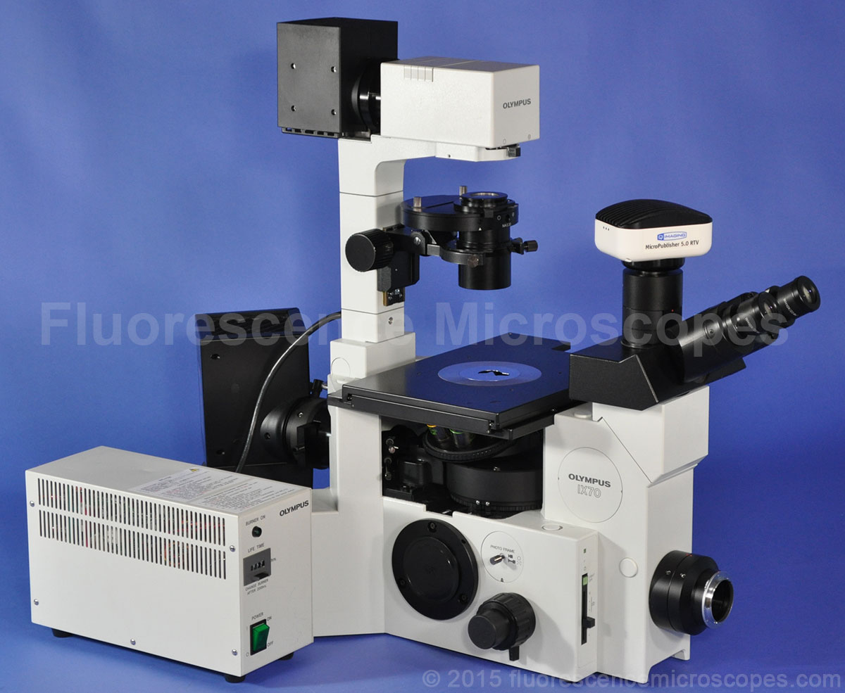 Fluorescence Microscopes Olympus Model IX70 HBO 100W Phase Contrast