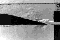 SPO Curriculum :: Lesson Plans