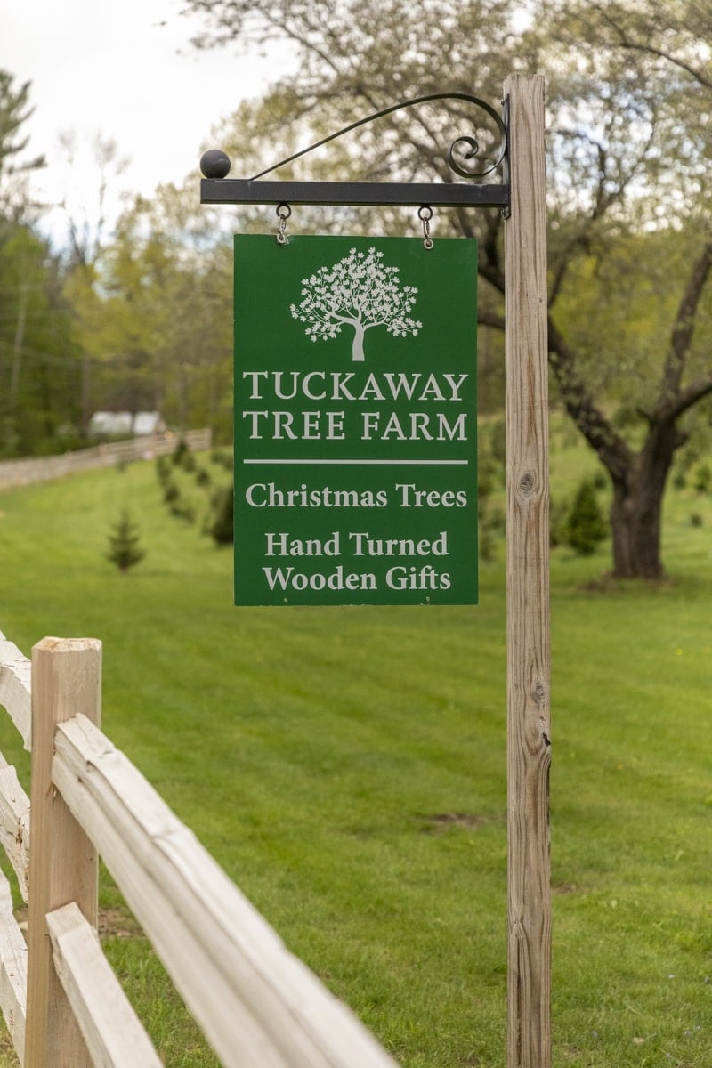 Tuckaway Tree Farm Weddings Lebanon, Maine Flutter Focus Photography