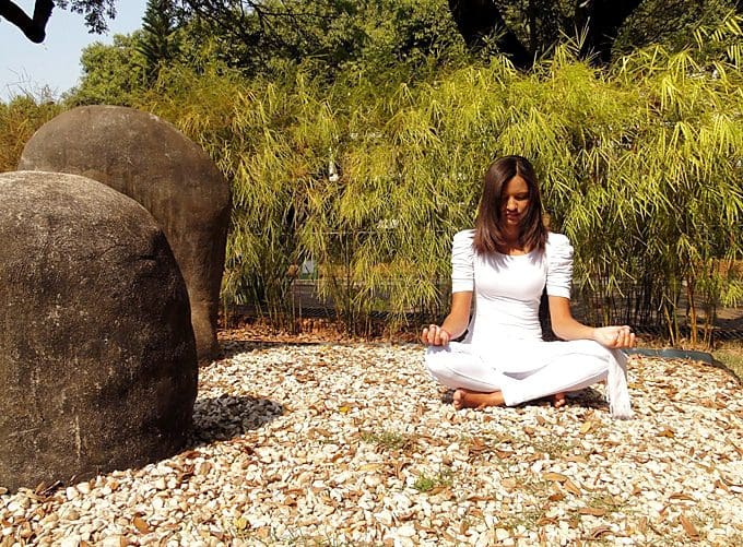 Building a yoga garden in your backyard FLUX MAGAZINE