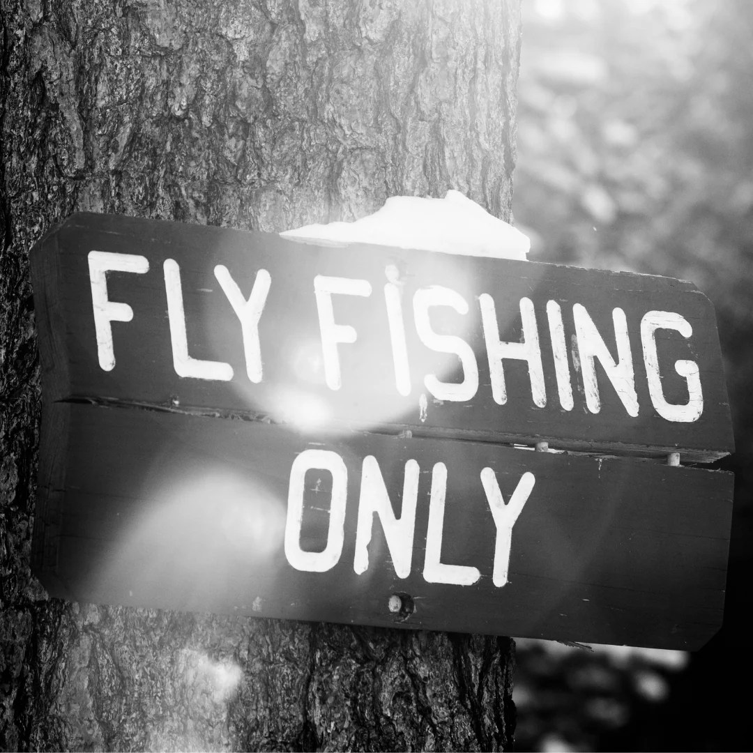 Contact Us Fly and Field Outfitters in Bend, OR