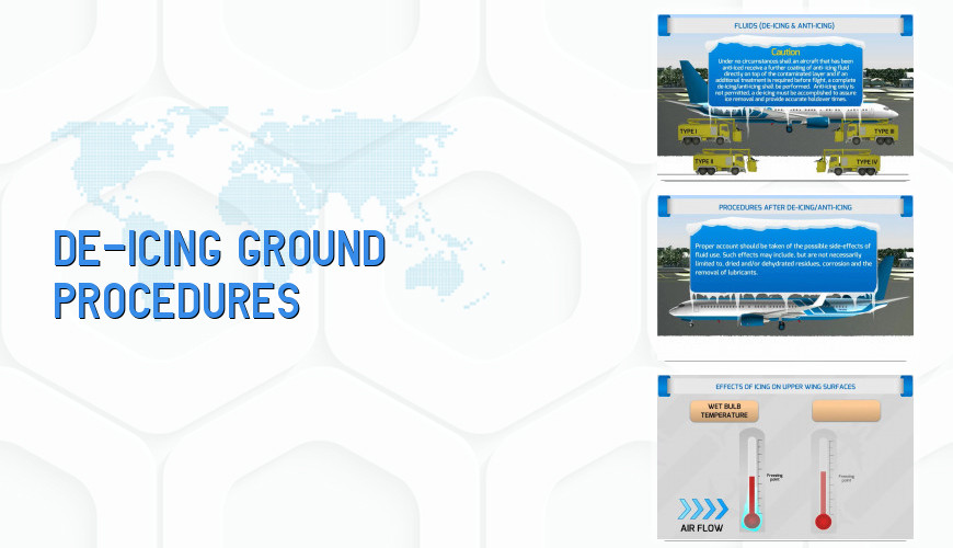 DEICING GROUND PROCEDURES Flyco Global