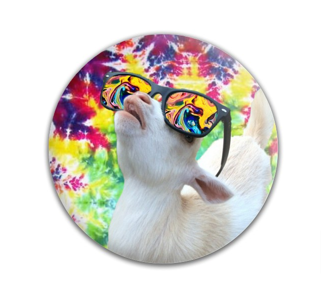 How to Design a Custom Disc Golf Disc (Make it YOURS) Fly Discs