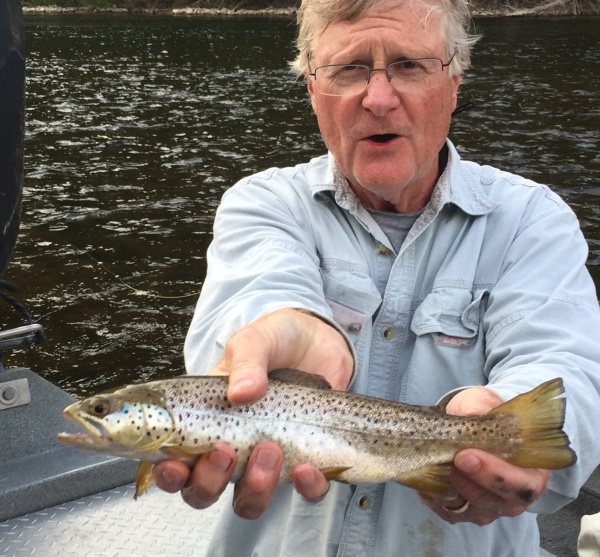 Dry Fly Trout Muskegon River