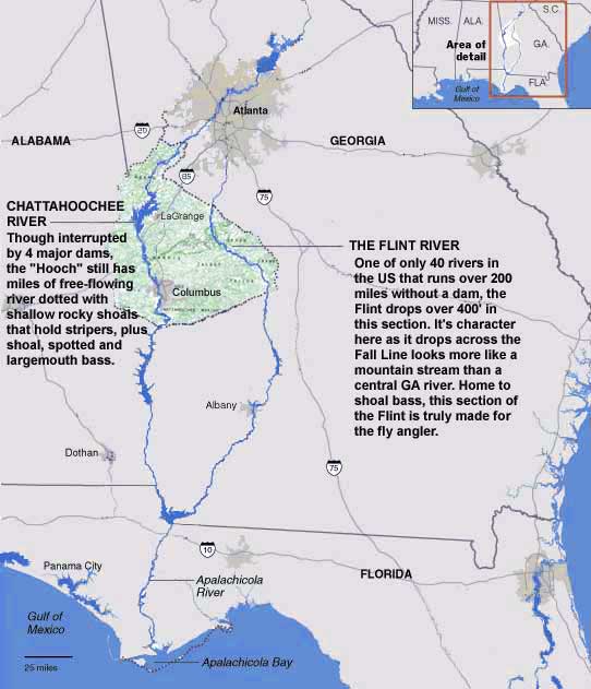 FlyFishGA Guided Trips