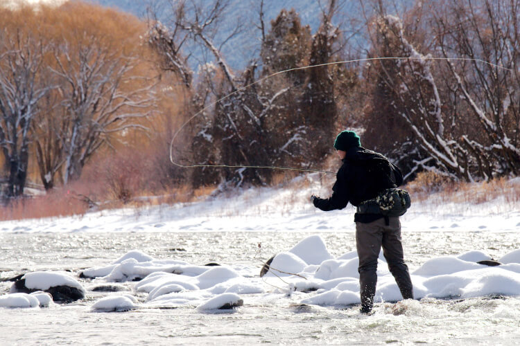 Colorado & Roaring Fork Rivers Guided Fly Fishing Trips