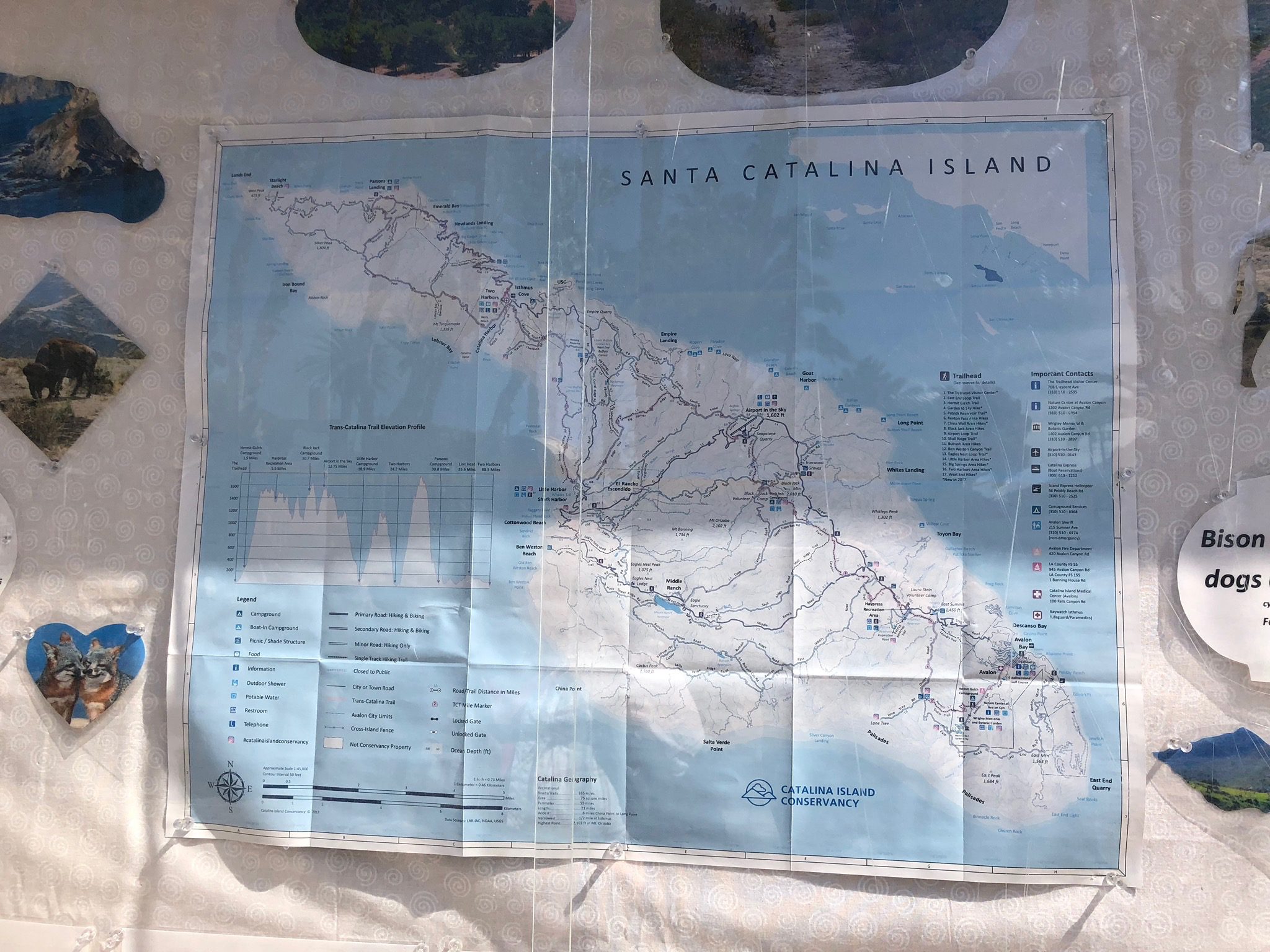 Hiking The TransCatalina Trail (TCT) Part 1 Two Harbors To Parsons Landing (Catalina Island