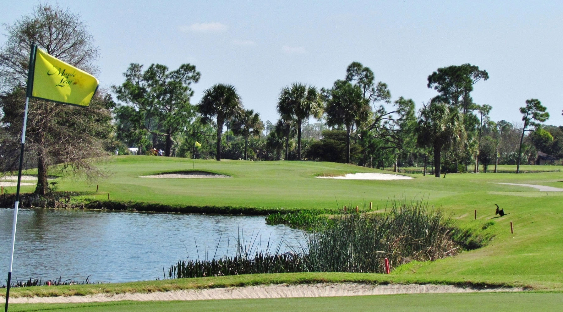7 MustVisit Golf Courses Near Punta Gorda Airport Punta Gorda Airport