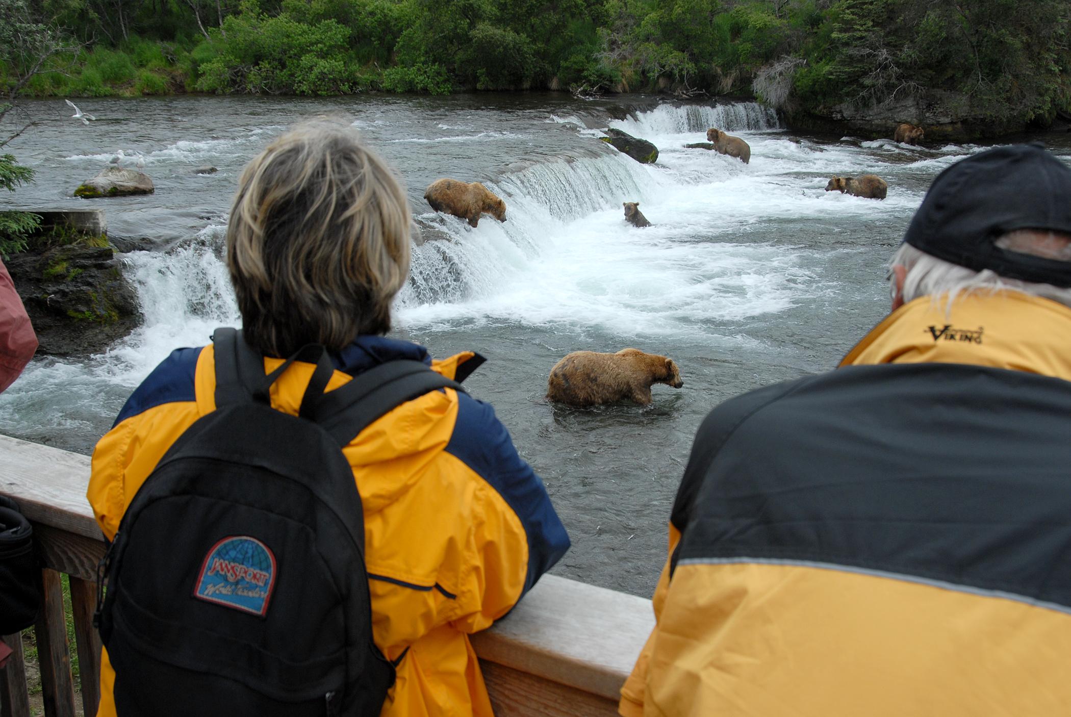 Anchorage To Katmai National Park Katmai Brooks Falls Bear Watching Day Tour Bear Viewing