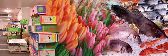 Import & Export Perishable Shipments Freight Forwarding Services
