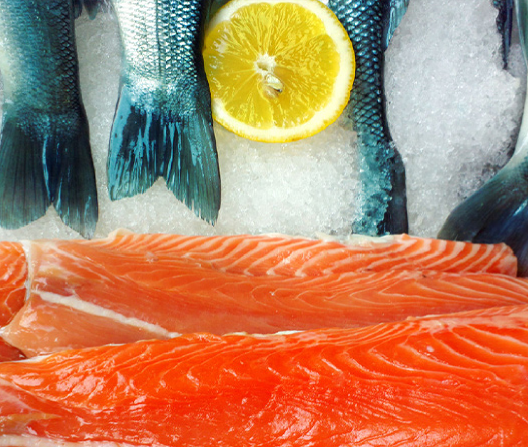 Saffron Cultivation in a Controlled Environment A StepbyStep Guide