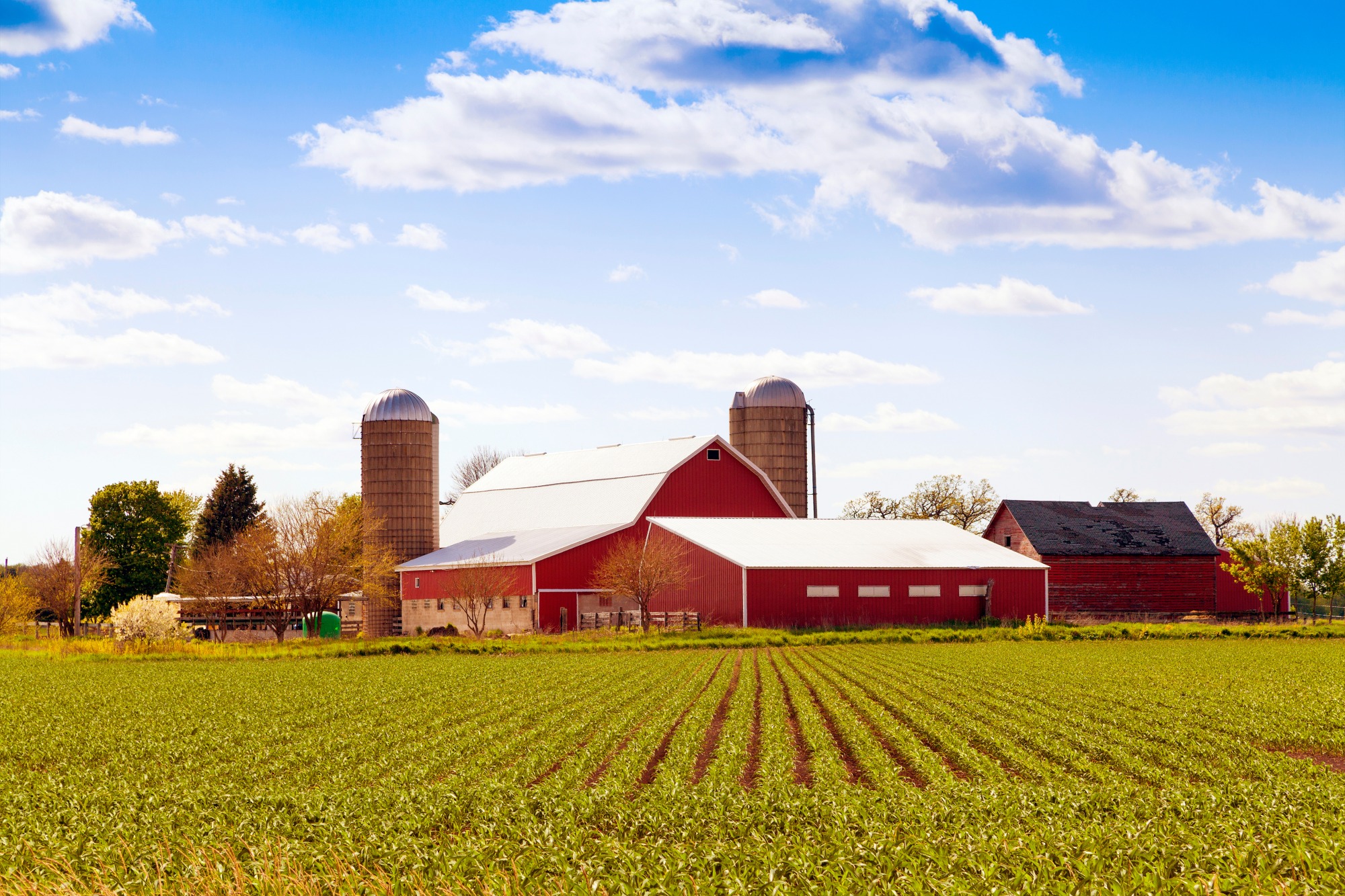 Details and Impact of the Current US Farm Bill F&M Bank