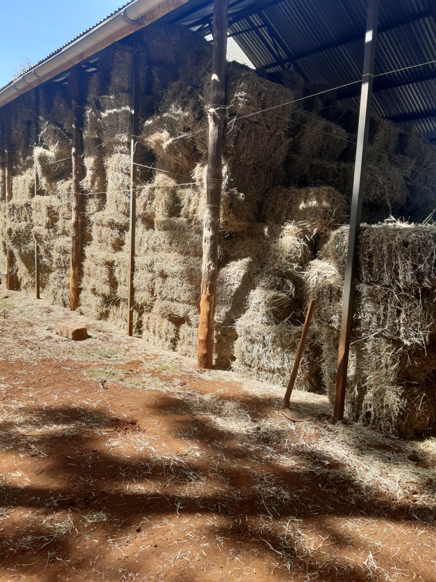 Boma Rhodes Hay For Sale Farmers Market Kenya