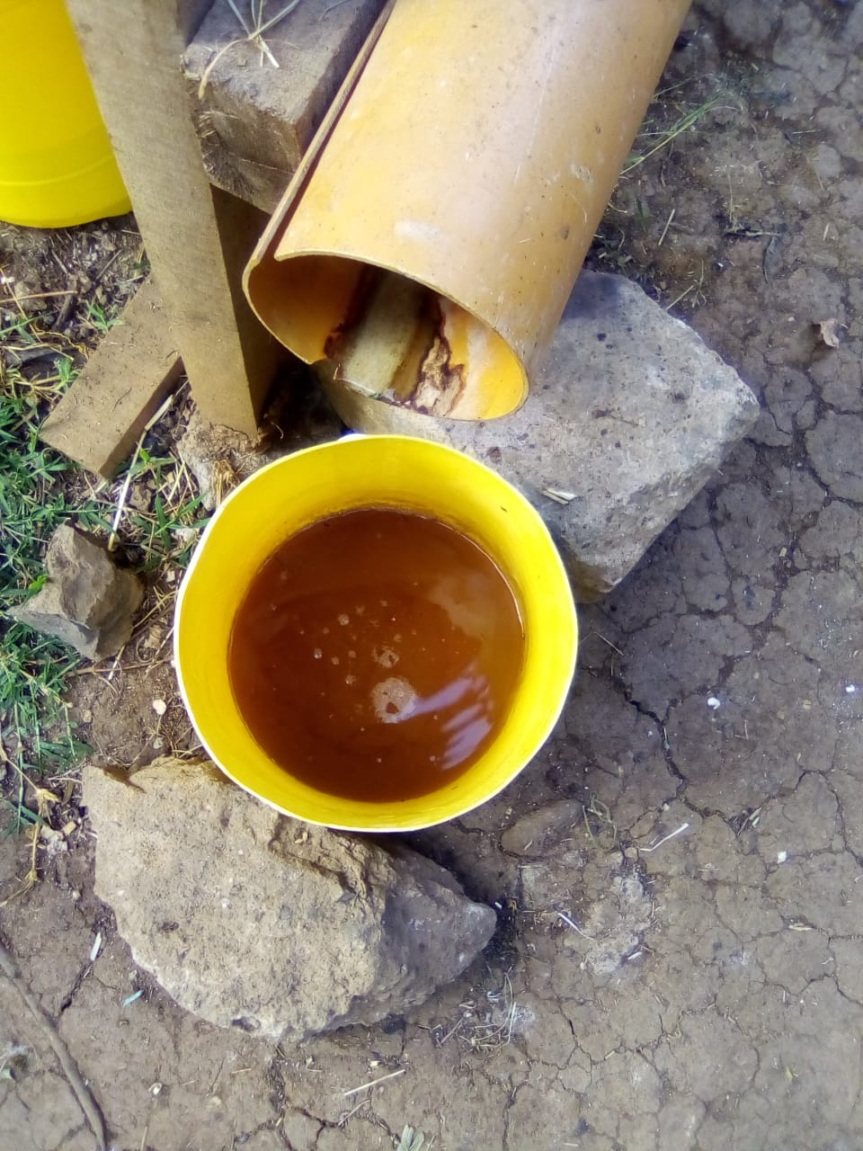 Rabbit urine Farmers Market Kenya