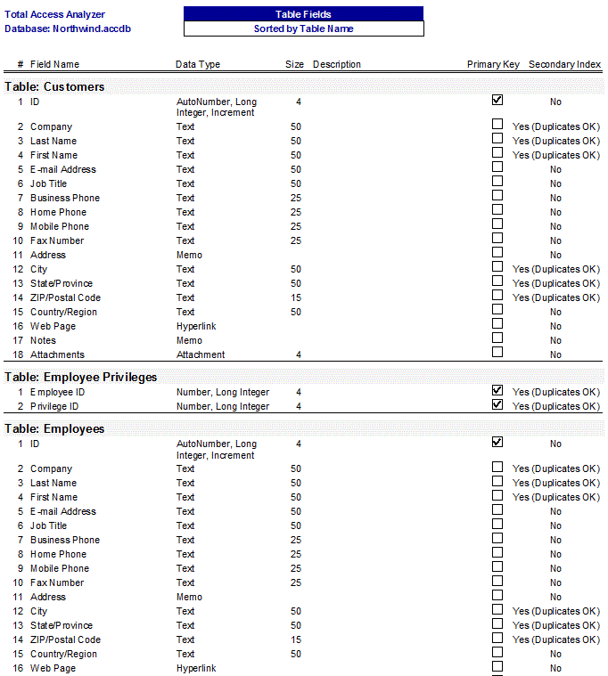 Microsoft Access Table Definitions with Field Listings documentation report