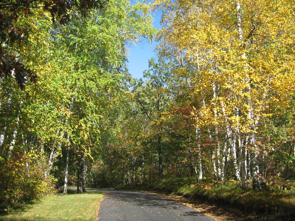 Parks and Forests Chippewa National Forest Near Bemidji MN
