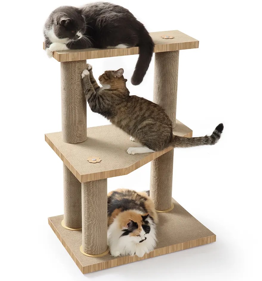Why Cats Love Cardboard Scratchers The Perfect Feline Furniture