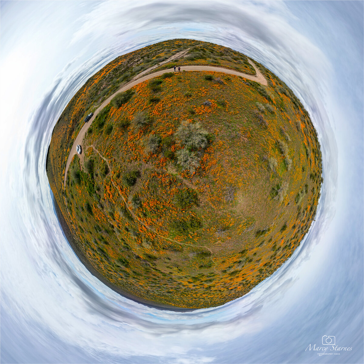 Peridot MesaAZ Focal World