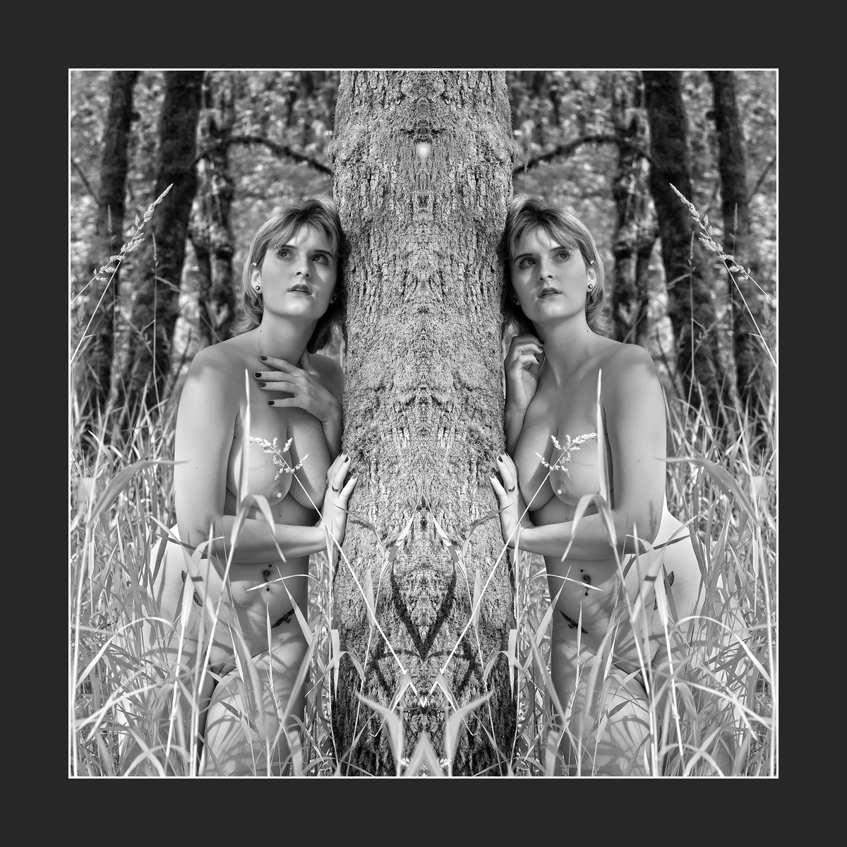 Not Quite Twins (NSFW) Focal World