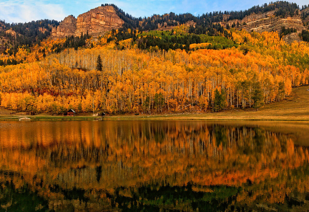 Colorado Color Focal World
