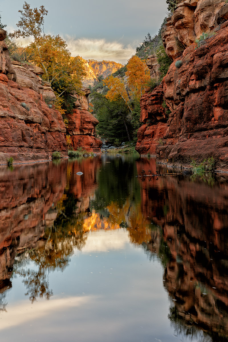 Oak Creek Fall Color Focal World