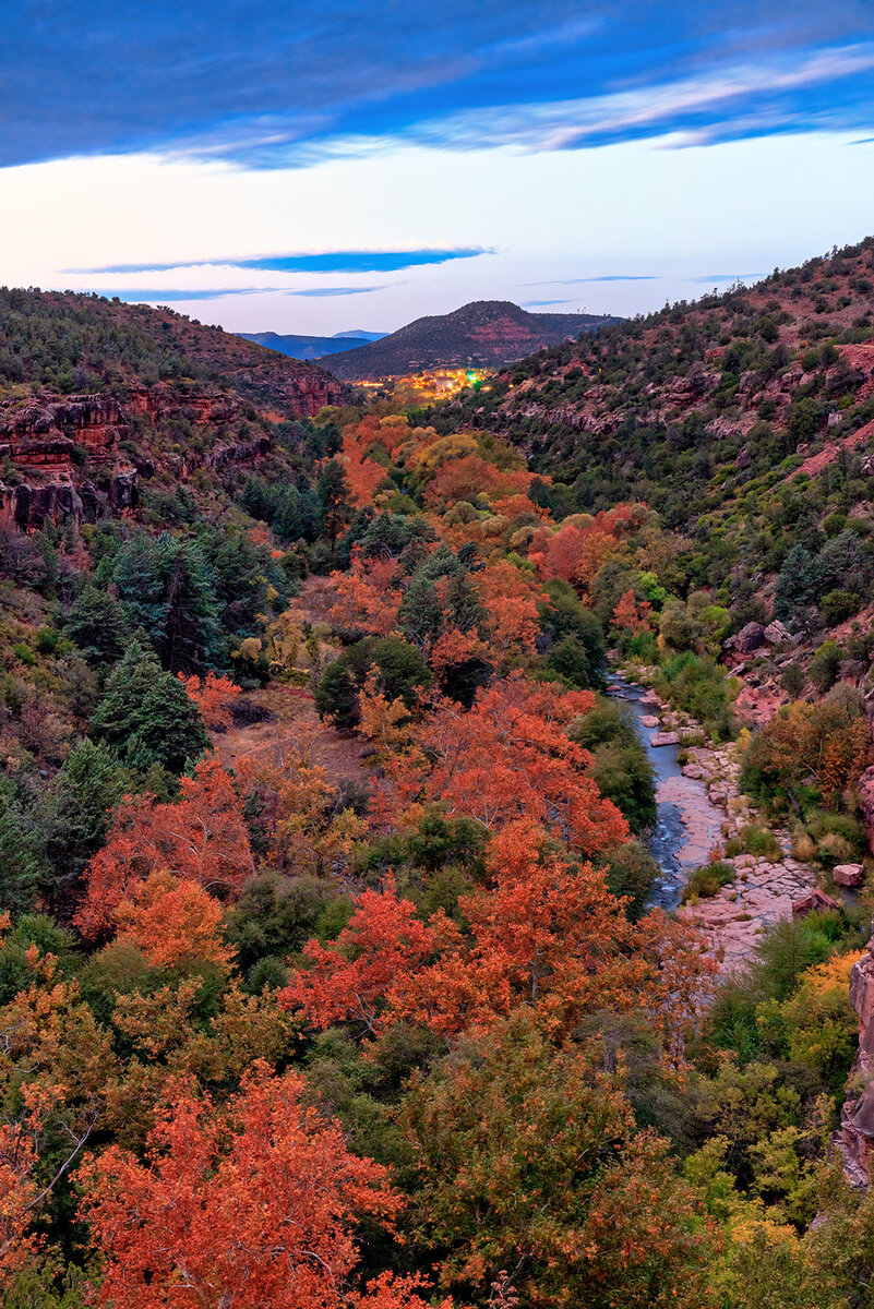 Fall Color Focal World