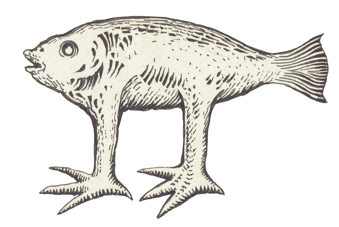 Animali fantastici le grandi creature immaginate dall