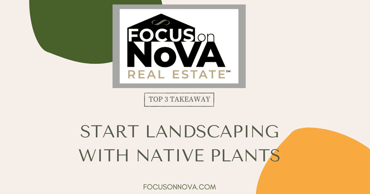 Why Use Native Plants in Your Yard...Plus 6 Fantastic Native Plants to