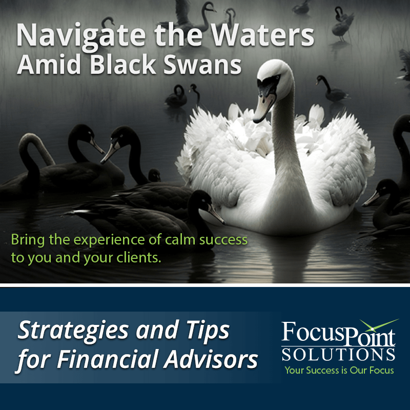 Navigating the Waters Amid Black Swans FocusPoint Solutions