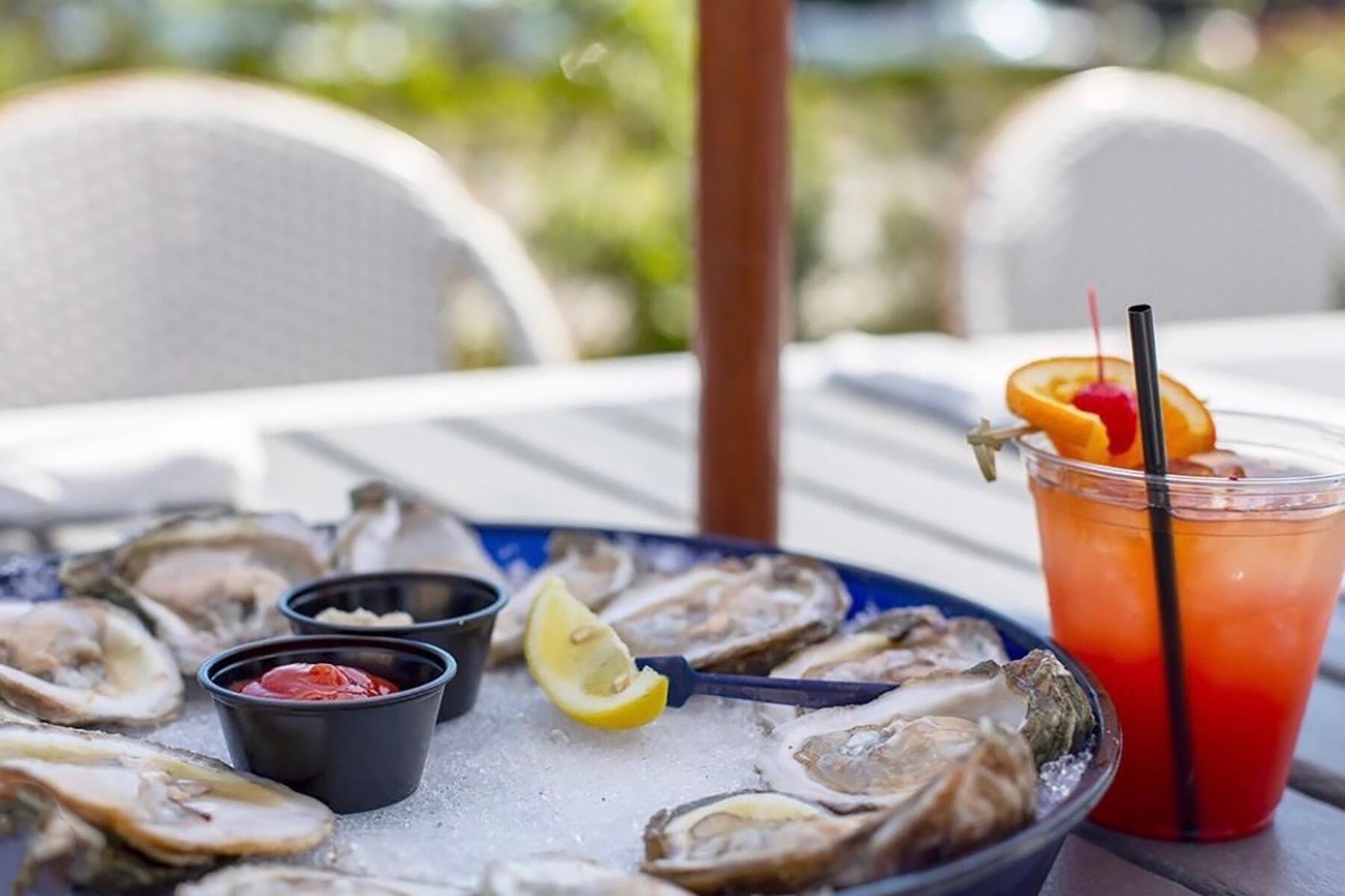 Oyster Farming and The Best Oyster Bars in Panama City