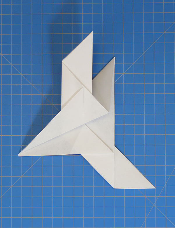 Fold N Fly Eagle Eye