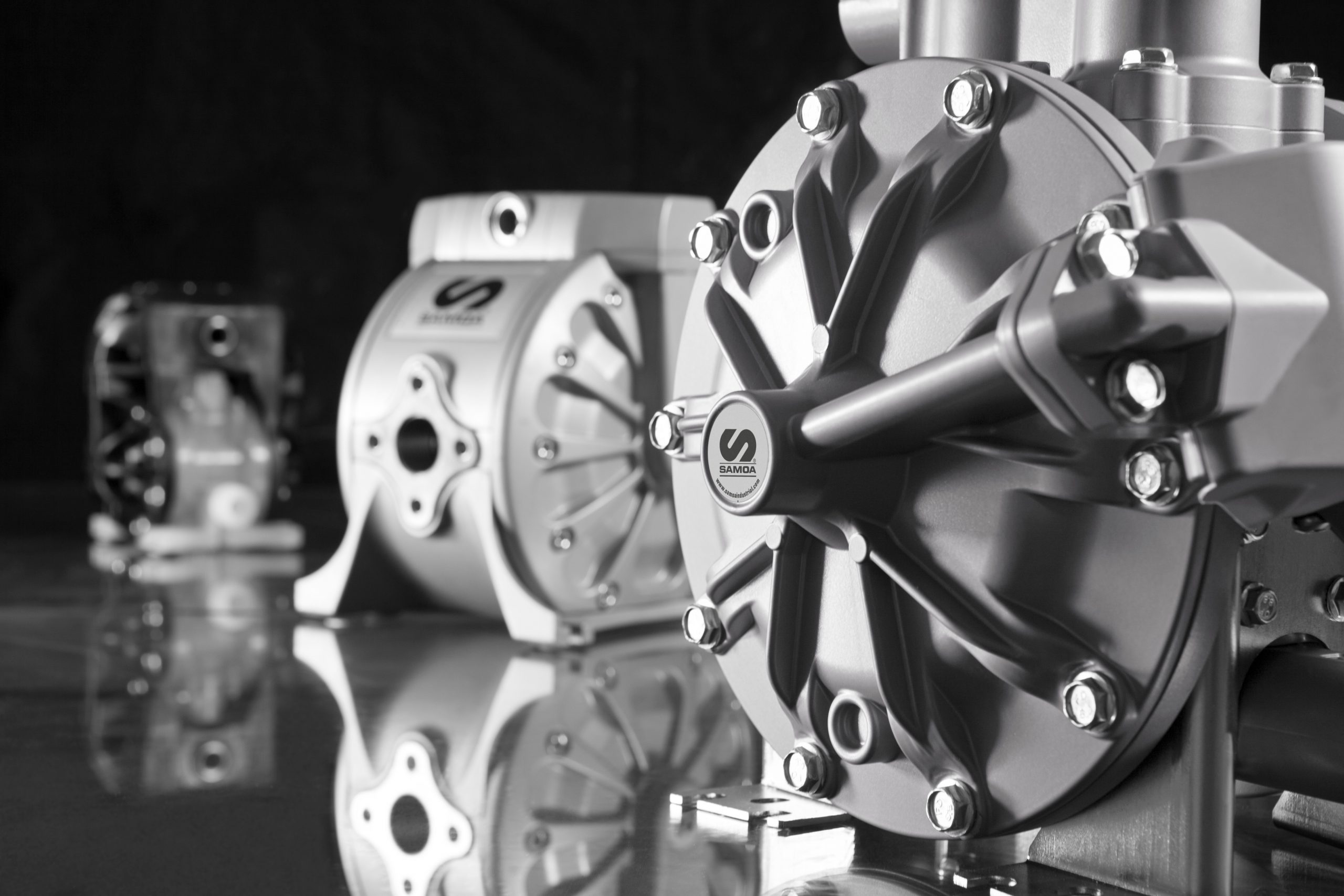 Typical diaphragm pump failures Follow The Fluid