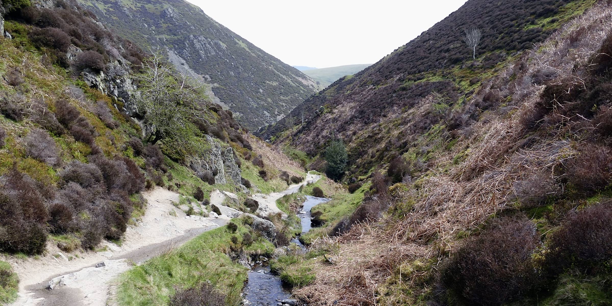 Carding Mill Valley