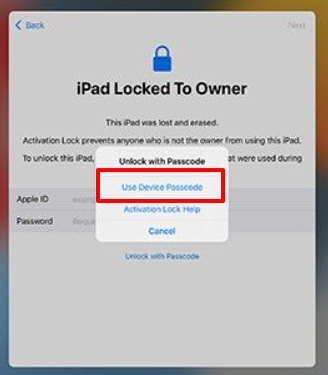 Quick Guide: Bypass iPad Locked To Owner with 5 Ways