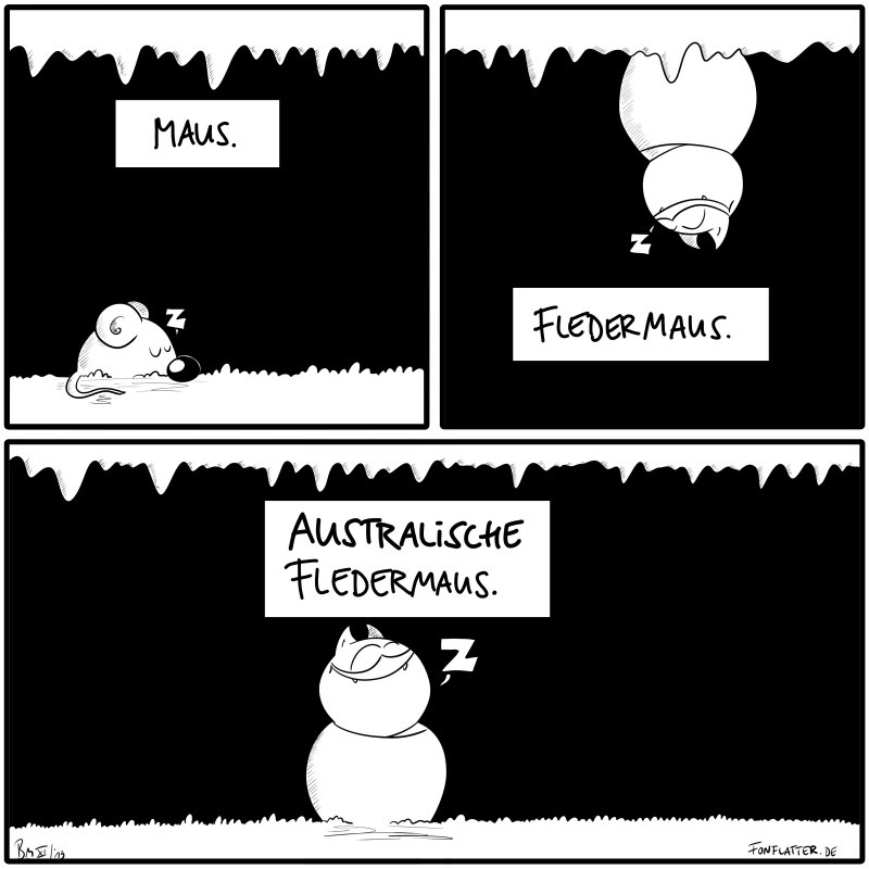 November « 2019 « fledermaus fürst frederick fon flatter