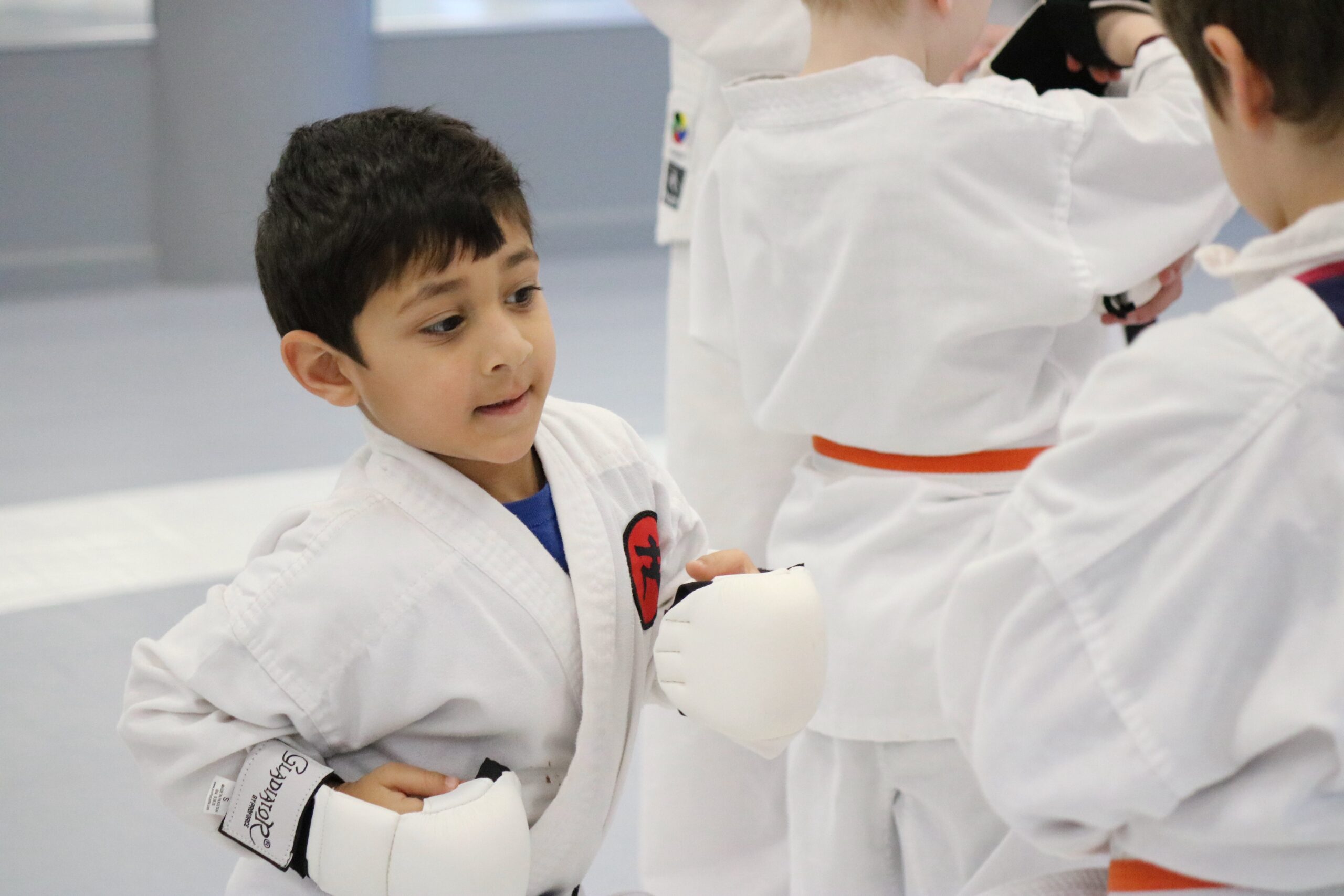 Fonseca Martial Arts Prices